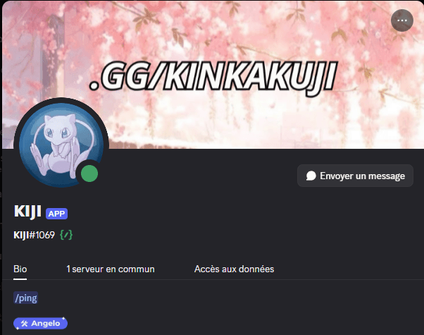 Kiji Bot